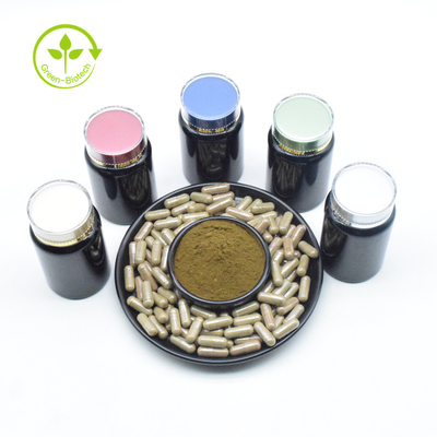 Les extraits de fines herbes Turkesterone extraient la poudre de 10% Turkesterone pour le supplément