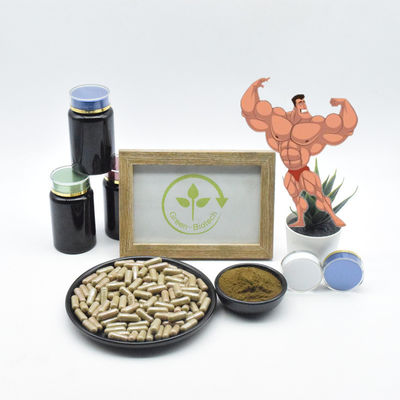 L'Ajuga naturel de 100% que Turkestanica extraient Turkesterone 10% capsule la poudre pure de Turkesterone
