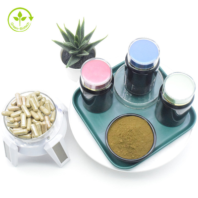 Poudre normalisée naturelle de la cyclodextrine 10% 40% Turkesterone d'Organic Kosher Ajuga de fabricant