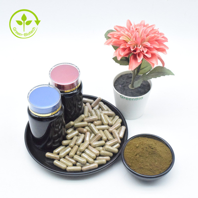 L'Ajuga pur naturel Turkestanica de Turkesterone extraient la poudre de 2% Turkesterone