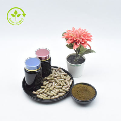 L'Ajuga pur naturel Turkestanica de Turkesterone extraient la poudre de 2% Turkesterone