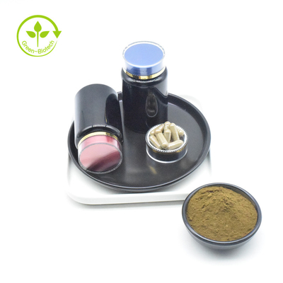L'Ajuga Turkestanica extraient la poudre pure de 2% 10% 40% CAS 41451-87-0 Turkesterone