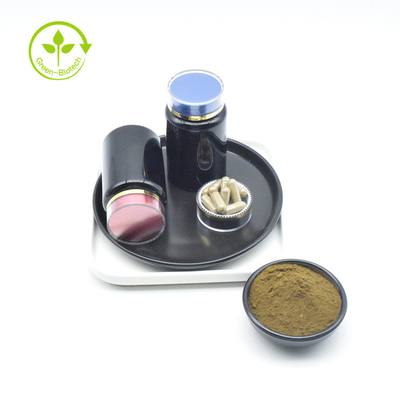 L'Ajuga pur Turkestanica de marque de distributeur extraient la poudre de 10% Turkesterone