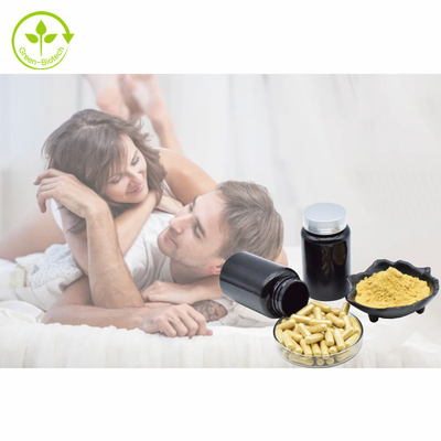 Poudre 1% 3% 5% 10% Tongkat Ali Extract de Tongkat Ali Capsules 500mg/60caps/Bottle Eurycomanone d'extrait d'usine
