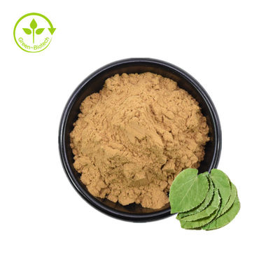poudre naturelle d'extrait d'Epimedium d'Icariin 98% d'extrait d'Epimedium de 20% 30% Icaritin