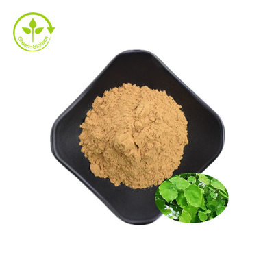 Extrait de haute qualité d'Epimedium d'Icariin 50% 60% 80% 98%