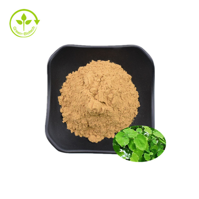 Extrait de haute qualité d'Epimedium d'Icariin 50% 60% 80% 98%
