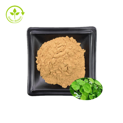 Extrait 98% Icaritin Honey Goat Weed Extract d'Epimedium 98% Icaritin