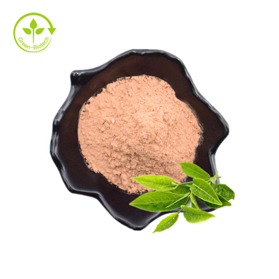 L'extrait naturel EGCG de thé vert de 100% 98% saupoudrent avec des aperçus gratuits