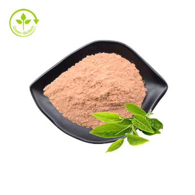 Polyphénols d'extrait de feuille de thé vert de catégorie comestible 98% catéchine 80% Egcg 60% poudre en vrac