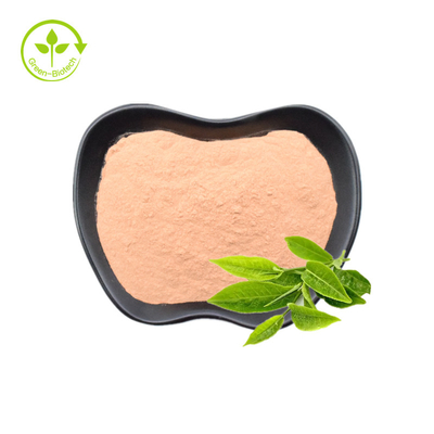 Le thé vert extraient la poudre 30% naturelle de 20% L-Theanine