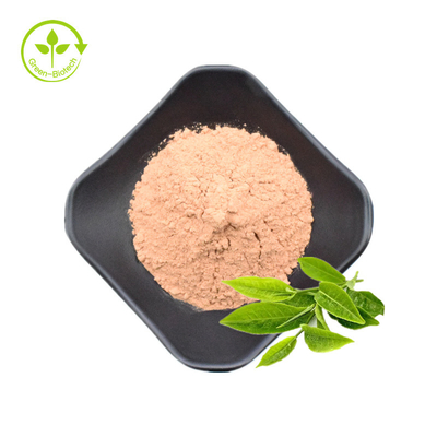Le thé vert extraient la poudre 30% naturelle de 20% L-Theanine