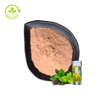 La poudre d'extrait de polyphénol de thé de thé vert a l'effet antioxydant