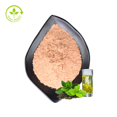 Les aides avec l'extrait instantané soluble de thé vert de la Chine de catégorie comestible de perte de poids saupoudrent la poudre naturelle de thé vert