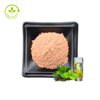 Poudre instantanée organique 100% pure de haute qualité d'extrait de thé vert de polyphénol
