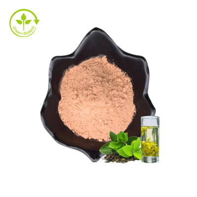 Extrait organique soluble dans l'eau de thé vert de thé vert d'aperçus gratuits d'OIN de nourriture biologique instantanée de la poudre 20%Polyphenols