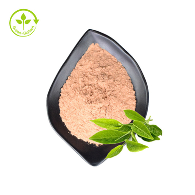 Le thé vert pur naturel organique de marque de distributeur extrait la poudre de Matcha