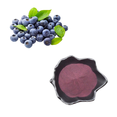 Les produits de soins de santé portent des fruits poudre de myrtille en vrac d'extrait
