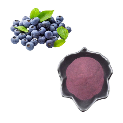 Poudre naturelle pure d'extrait de myrtille d'anthocyanine d'extrait de poudre de myrtille de poudre de fruit