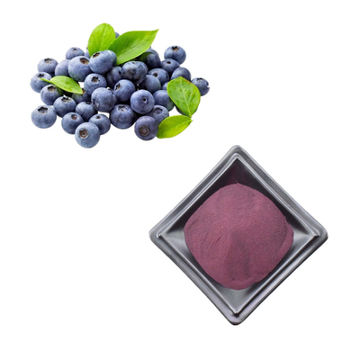 Poudre d'extrait de bleuets sauvages Anthocyanine Poudre de bleuets 1 kg
