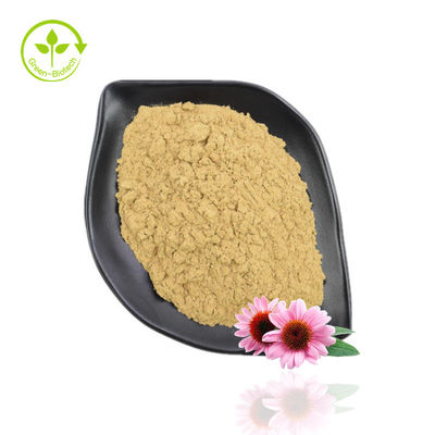 Poudre d'extrait d'Echinacea Purpurea de grande pureté 10%-40% Echinacoside