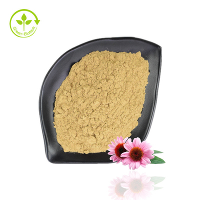 Vente chaude Echinacea Purpurea Extrait 4%-6% Polyphénol 2%-4% Poudre d'échinacée naturelle
