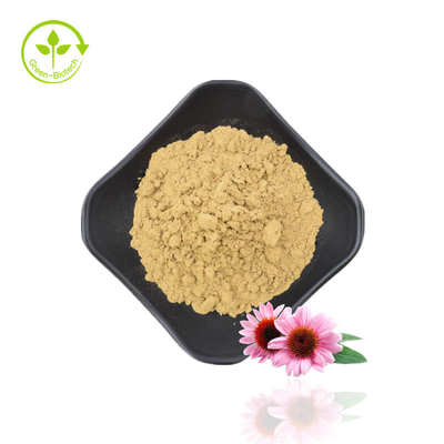 Polyphénols naturels 4 % Acide cichorique 1 % 4 % Extrait d'échinacée purpurea
