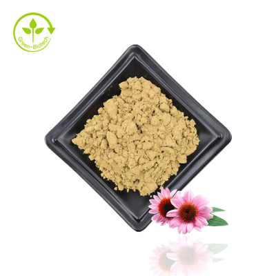 Fournir de l'extrait d'échinacée purpurée extrait d'échinacée extrait naturel de fleur d'échinacée purpurée 4% de polyphénols