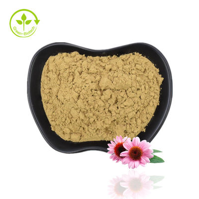 Approvisionnement d'usine Echinacea Powder Echinacea Purpurea Extract Echinacea Extract With High Quality