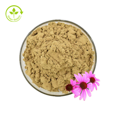 Certificat Iso 100 % extrait naturel d'échinacée Echinacea Purpurea extrait 10 % polyphénol