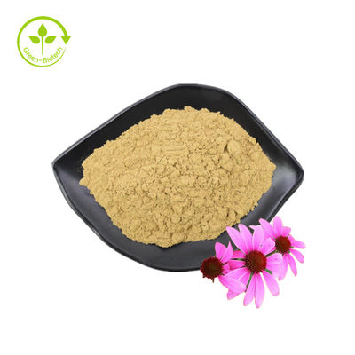 Polyphénols de haute qualité standard GMP Echinacea Purpurea Poudre Extrait d'Echinacea Purpurea