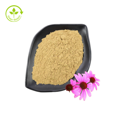 Fournir une bonne qualité d'extrait d'échinacée purpurée Supplément de soins de santé Extrait d'échinacée purpurée