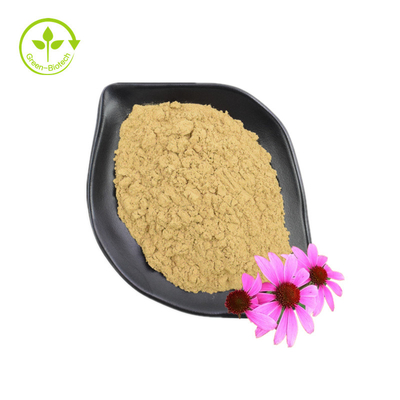Fournir une bonne qualité d'extrait d'échinacée purpurée Supplément de soins de santé Extrait d'échinacée purpurée