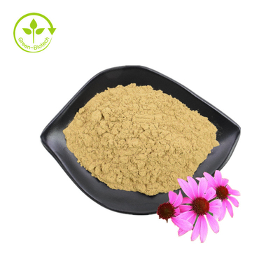 Fourniture en gros 3 % d'acide chicorique extrait de fleur d'échinacée purpurea extrait d'échinacée purpurea