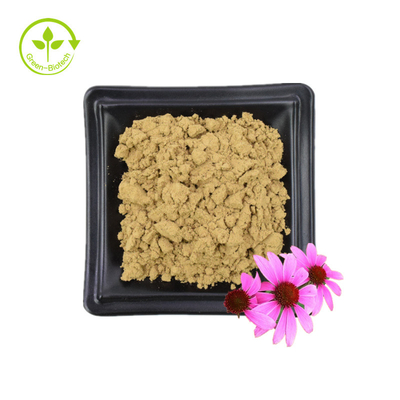 Approvisionnement en vrac Echinacea Purpurea Extrait 4% Polyphénol 2% Acide chicorique