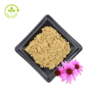 Approvisionnement en vrac Echinacea Purpurea Extrait 4% Polyphénol 2% Acide chicorique