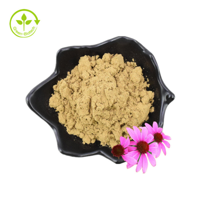 Poudre d'extrait de fleur d'échinacée purpurée d'acide chicorique pur de 4 % extrait d'échinacée purpurea