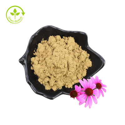 Extrait séché de graines de fleur de poudre de polyphénol organique Echinacea Purpurea
