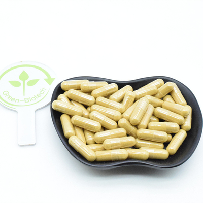 Extrait de racine de ginseng rouge sibérien coréen 10% 20% 80% poudre de ginsénosides