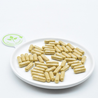 Changbai Mountain Panax Ginseng Racines pharmaceutiques Ginseng frais