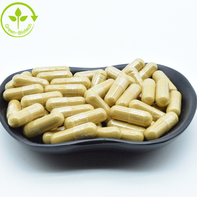 Supplément de santé 99% de poudre d'extrait de racine de ginseng pour le ginseng