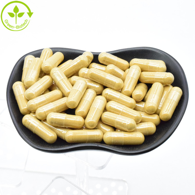 Poudre de racine de ginseng Panax Extrait de ginseng 20:1 Ginsénoside 80%
