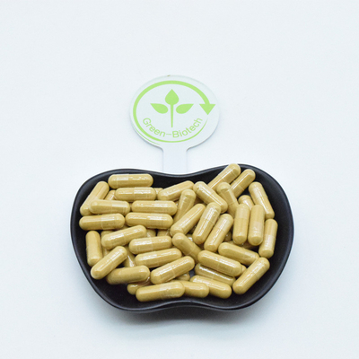 Extrait de racine de ginseng naturel en capsules poudre boisson café thé graines Panax ginseng
