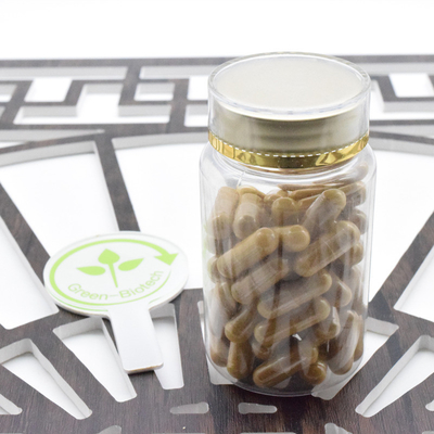 Supplément de soins de santé Pure Panax Ginseng en poudre Panax Ginseng Extrait 5% à 80% de ginsénoside