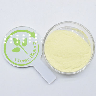 Poudre d'extrait de kava organique jaune de haute qualité 30% 50%