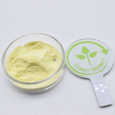 Poudre d'extrait de kava organique jaune de haute qualité 30% 50%