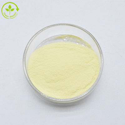 Extrait de racine de kava de haute qualité 100% Kavalactones purs 30% Kava extrait