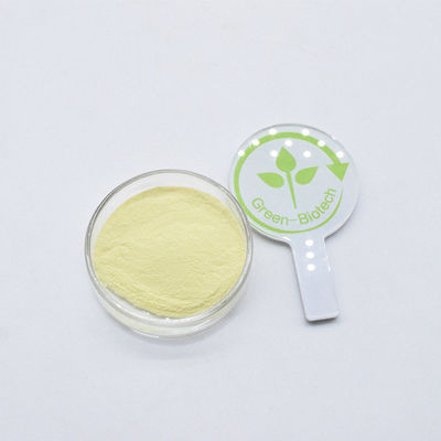 Extrait de kava organique jaune de qualité alimentaire en poudre 30% Kavalactones