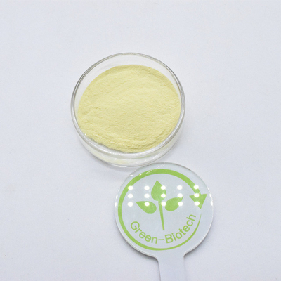 Fournir de l'extrait de racine de kava en poudre Kavalactones Kava 20% 30% Extrait en poudre