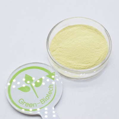 En gros Extrait de kava organique naturel à 30% en poudre